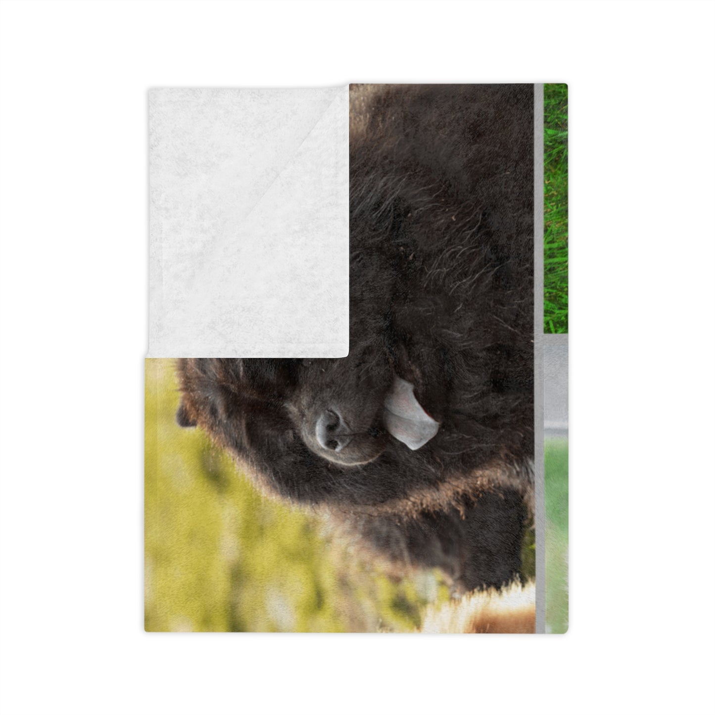 Personalized Pet Photo Blanket
